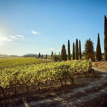 Tenuta Golo - And Winery - Tuscany Villa *